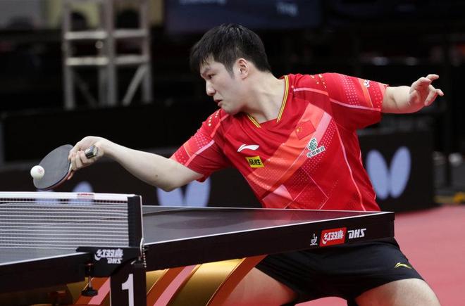 今年的大马 今年的大马